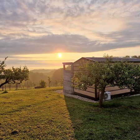 Vinea Panonika Wine & Mind Retreat Villa Radenci Exterior photo
