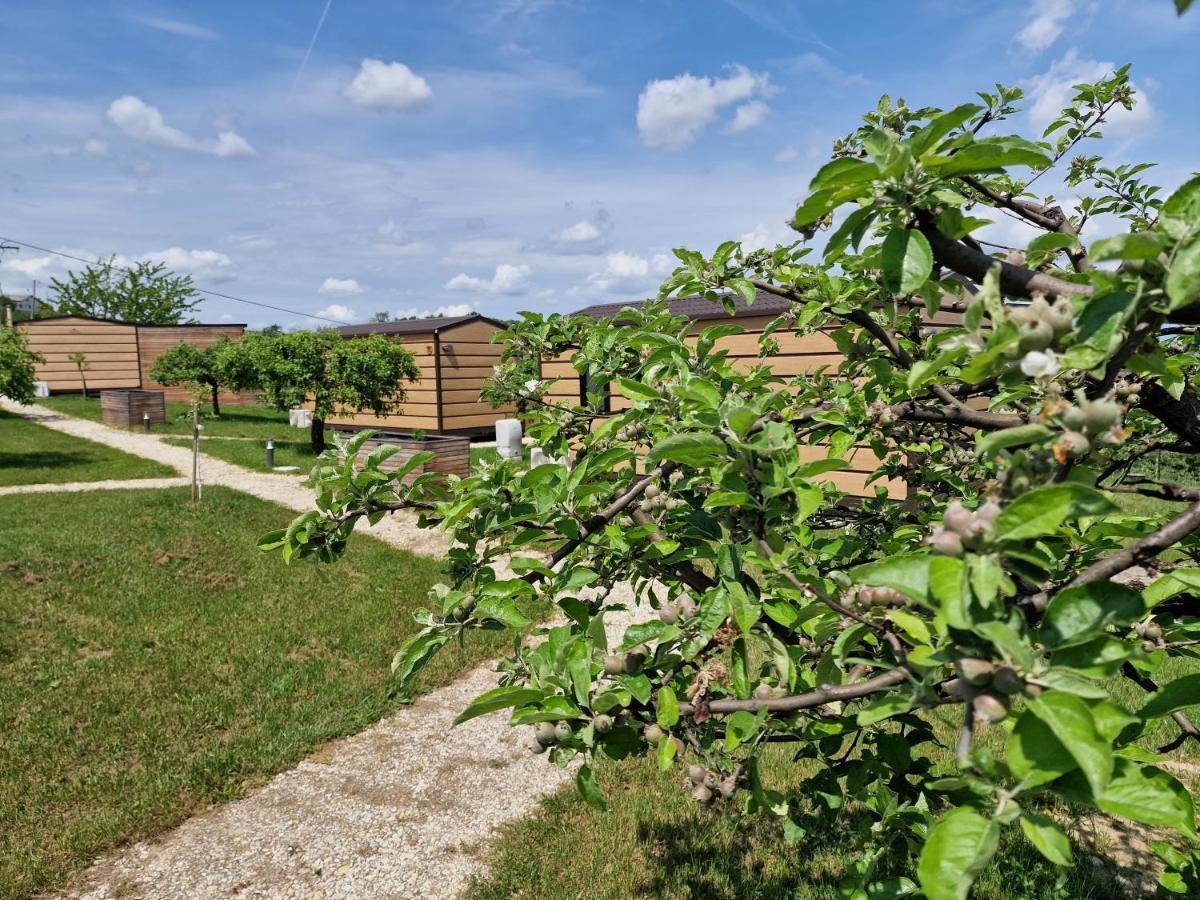 Vinea Panonika Wine & Mind Retreat Villa Radenci Exterior photo