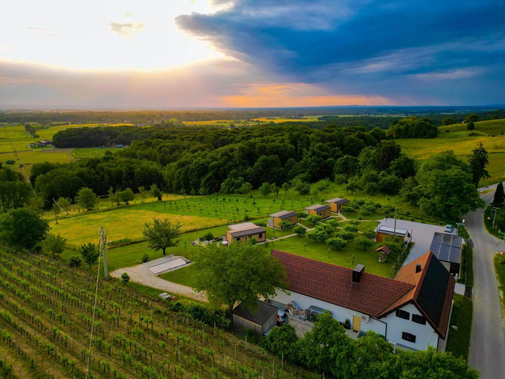 Vinea Panonika Wine & Mind Retreat Villa Radenci Exterior photo